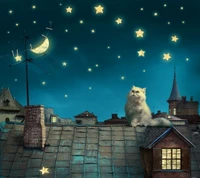 background, cat roof house, magic night, stars moon