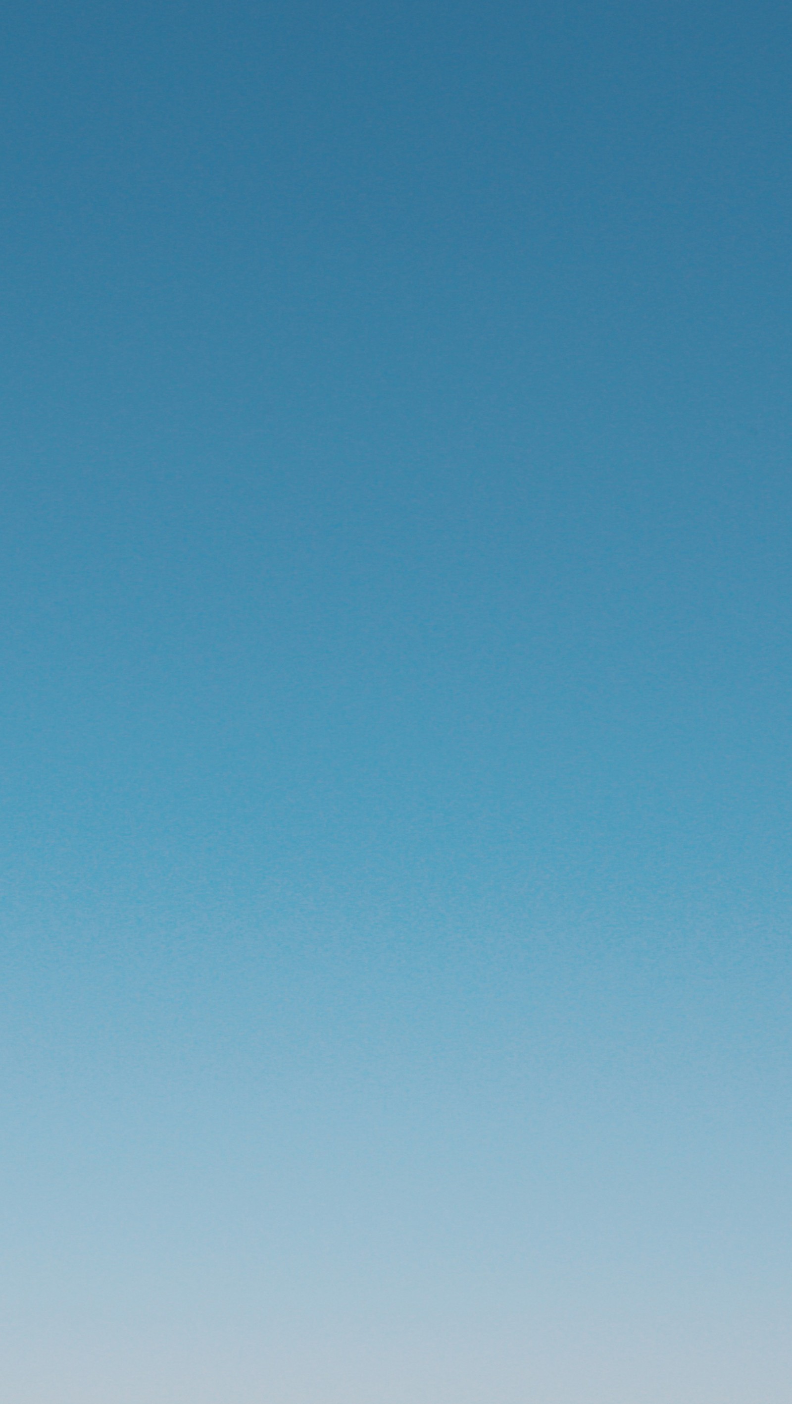 Il y a un homme qui fait voler un cerf-volant sur la plage avec un chien (bleu, calme, propre, clair, couleur)