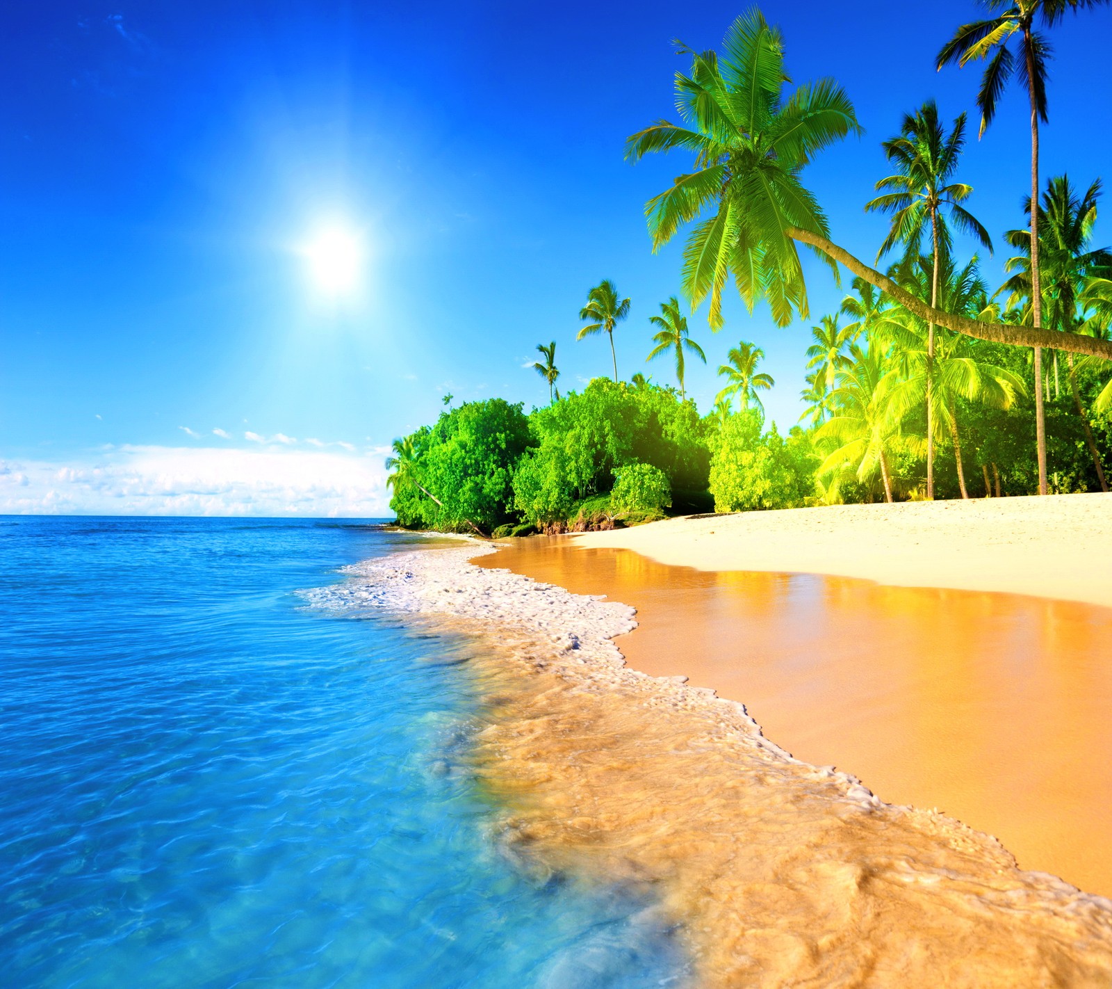 Une plage avec des palmiers et un océan bleu clair (beautiful tropical, paradise beach blue sky)