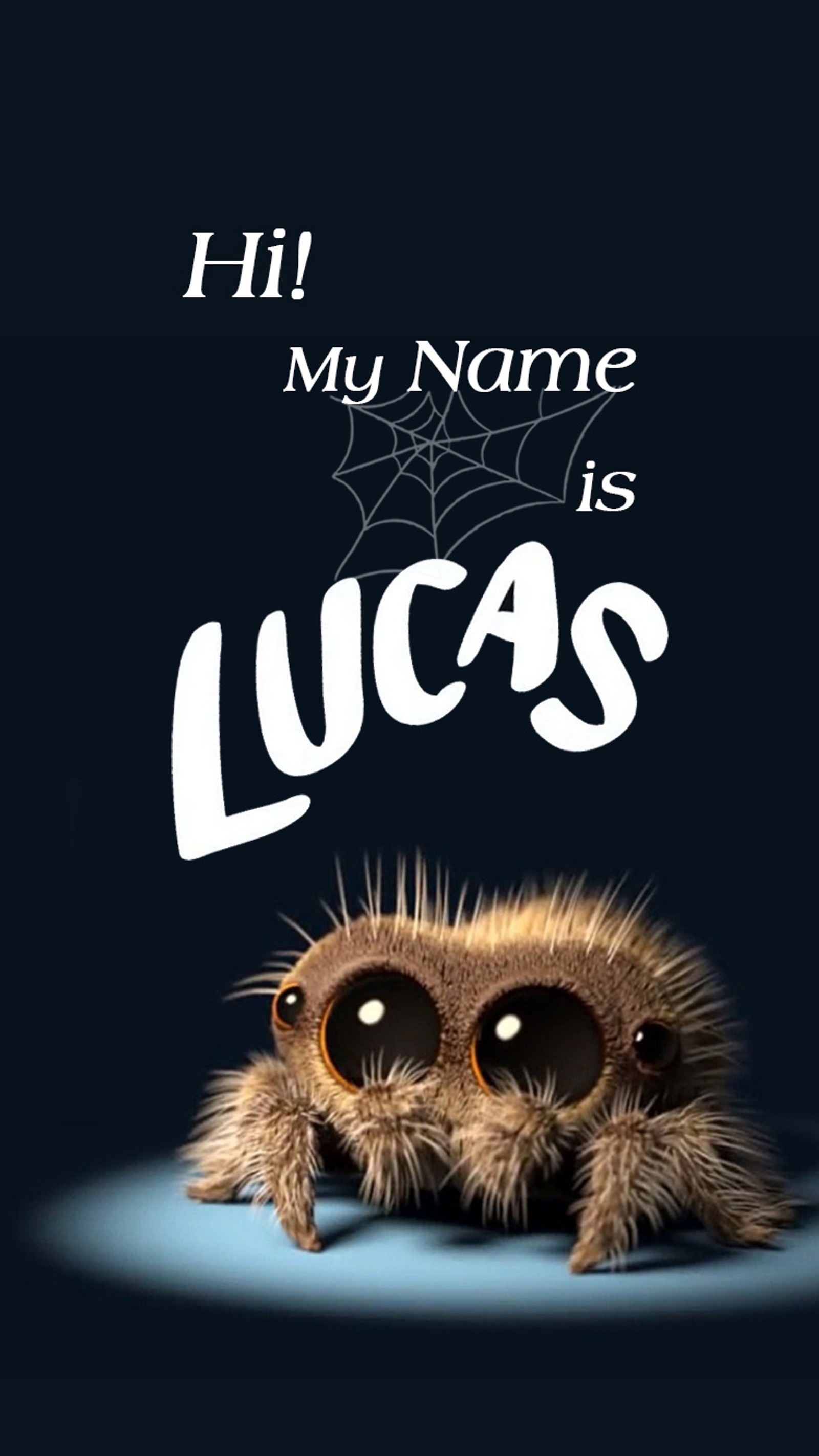 A close up of a spider with a caption on it (lucas, spider, cute, nature, web)