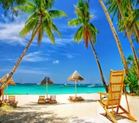 Plage tropicale avec des palmiers et des parasols en chaume