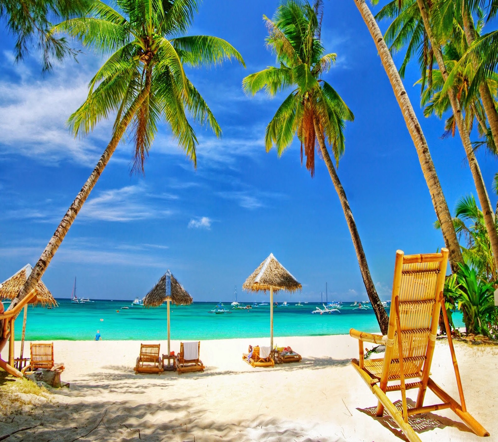 Sillas de playa y sombrillas en una playa de arena con palmeras (playa, tropical)