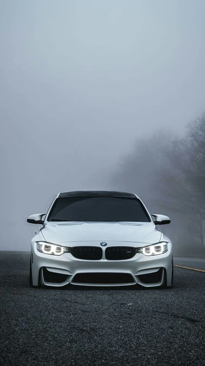 bmw, coche, f80, niebla, bajo