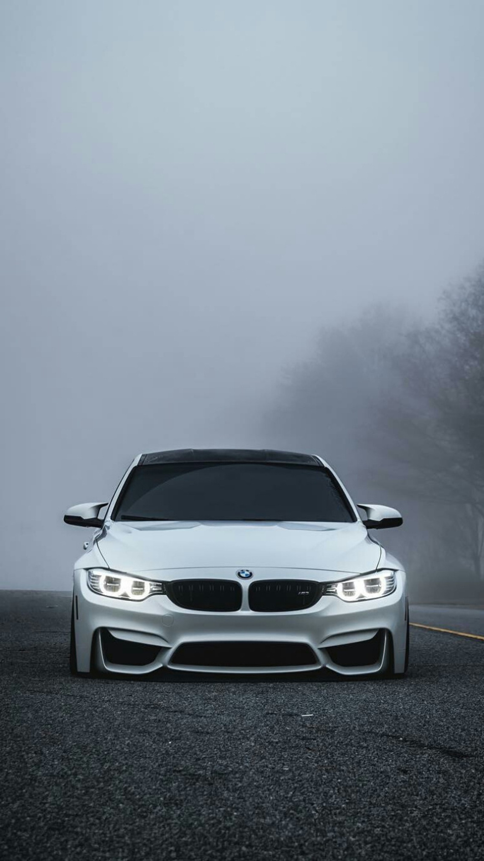 Bmw m4 купе в тумане (bmw, машина, f80, туман, низкий)