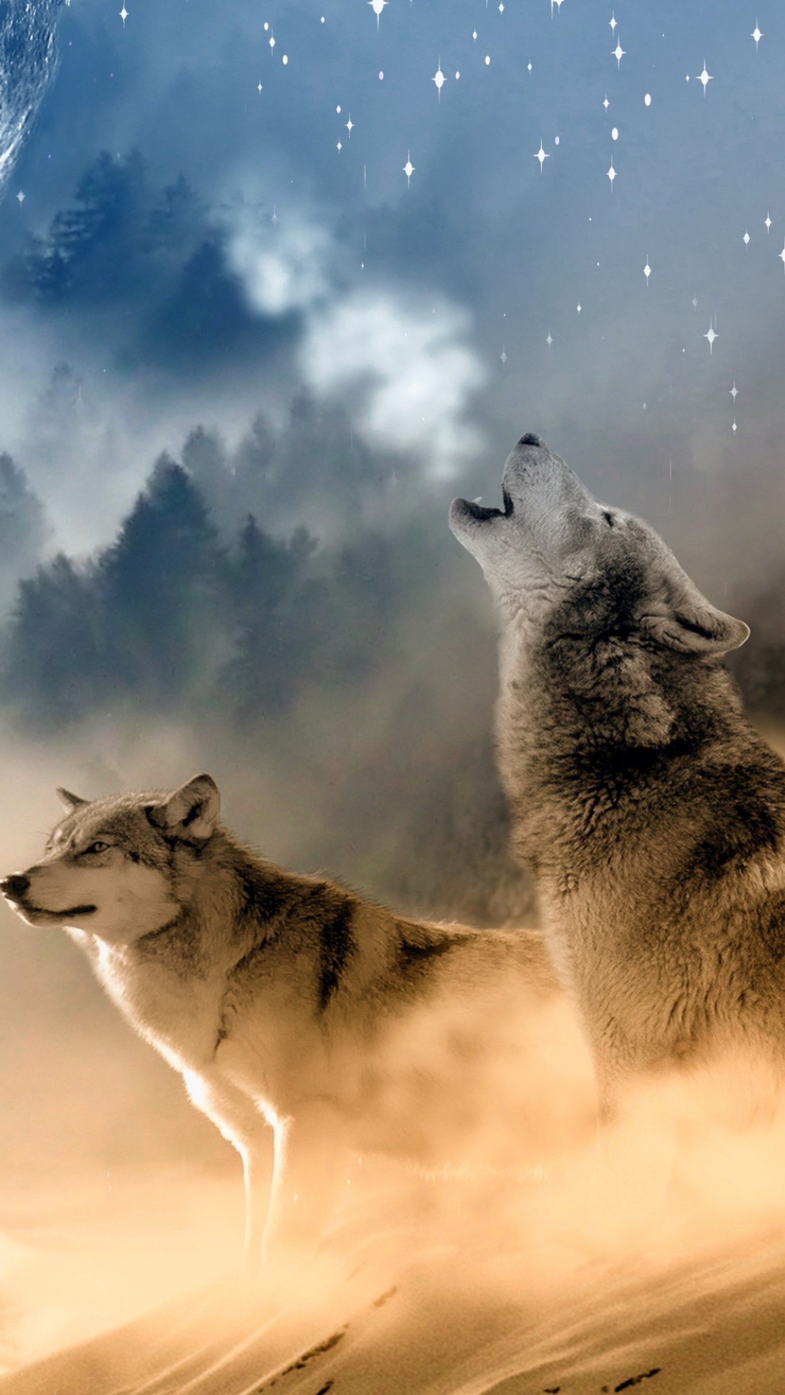 There are two wolfs that are standing in the sand (abstract, wolf)