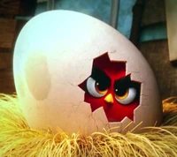 Angry Birds: The Hatching Red Bird