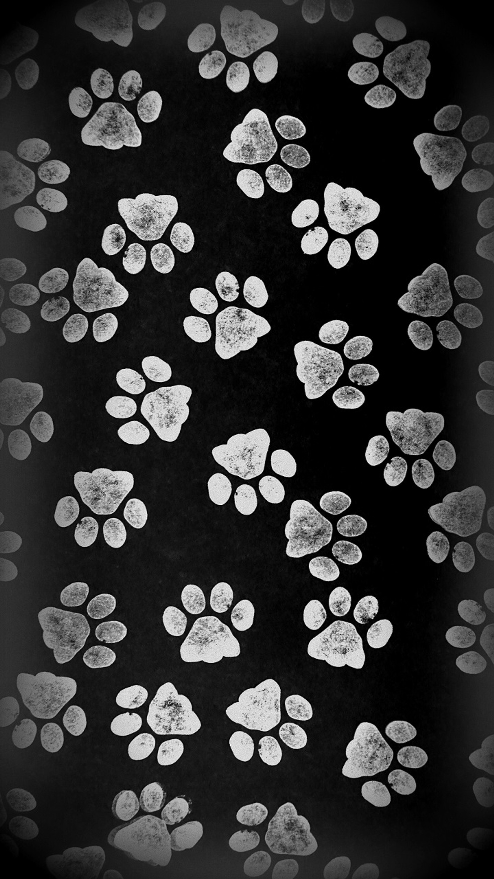 A close up of a black and white photo of a dog paw print (abstract, animals, black, cat, cool)