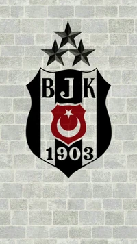 ay yildiz, bjk, turk bayragi