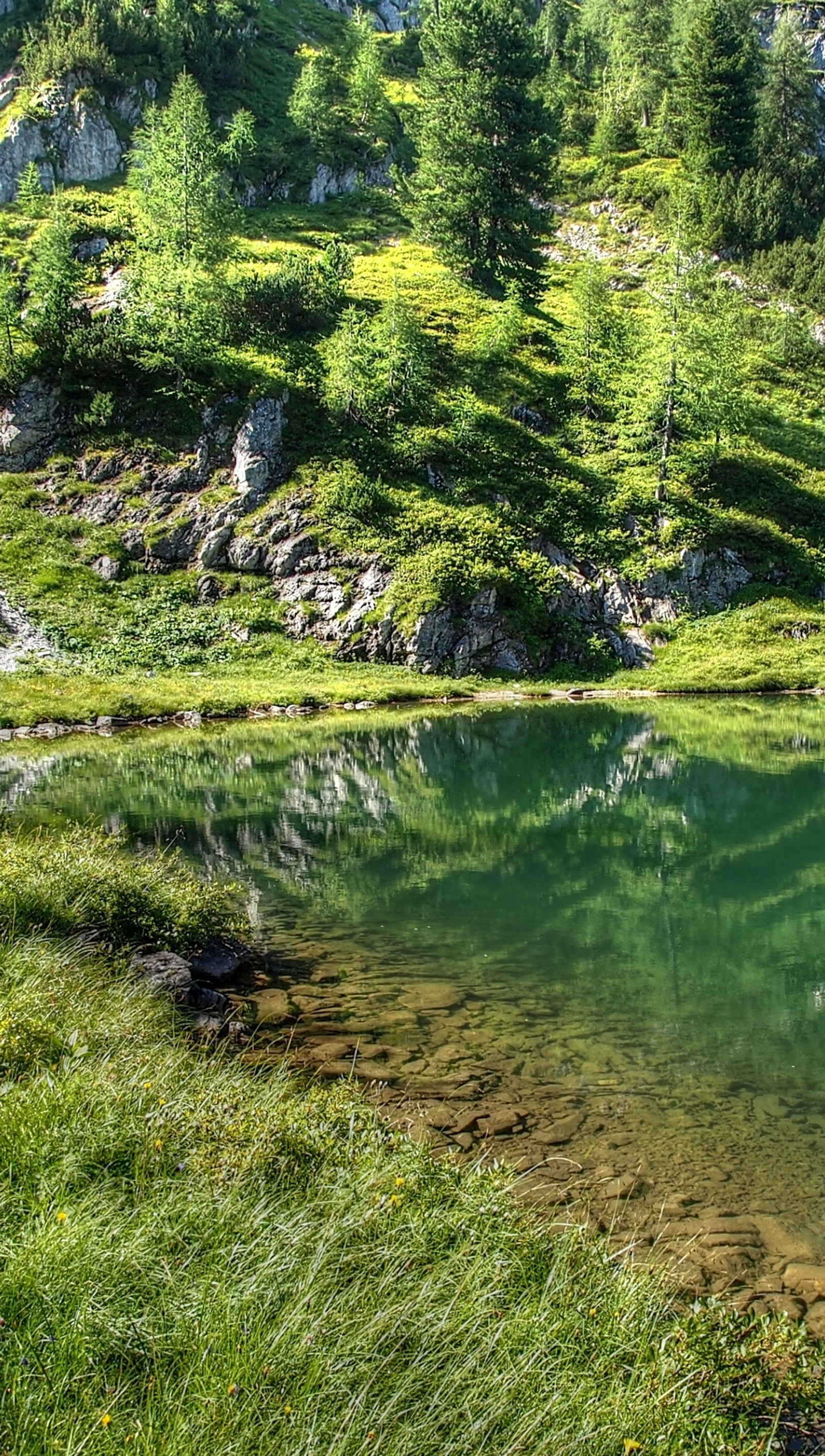 There is a small pond in the middle of a grassy area (bjhvuybyg, jnbygjughyj, mkkjnkjn)