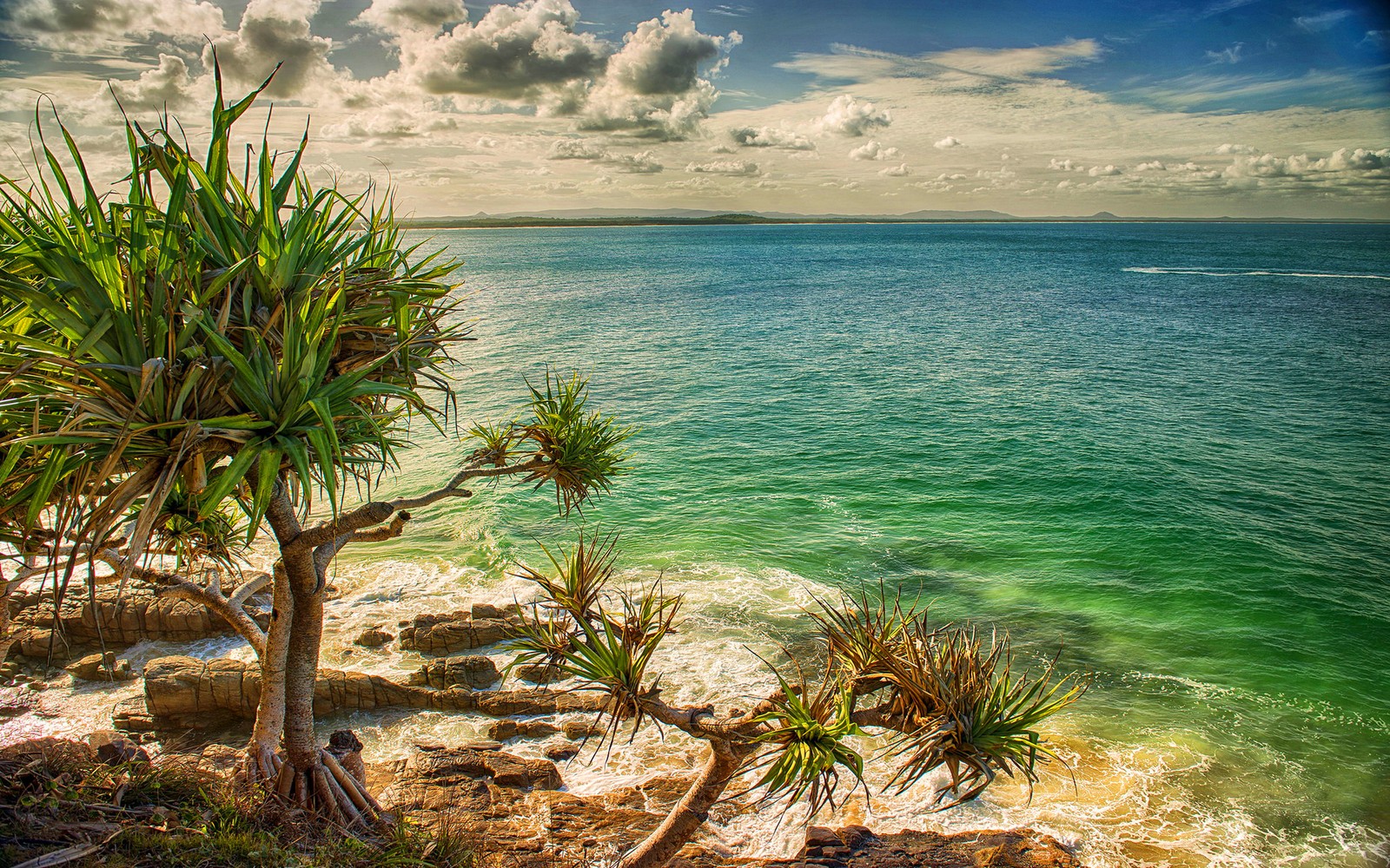 Lade küste, meer, strand, vegetation, ozean Hintergrund herunter