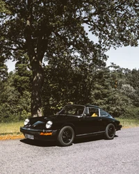 Coupé Porsche 911 Clássico Sob uma Árvore