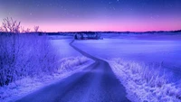 hiver, nuit, bleu, nature, violet