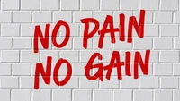 no pain no gain, brick wall, white background, 5k, motivational quotes wallpaper