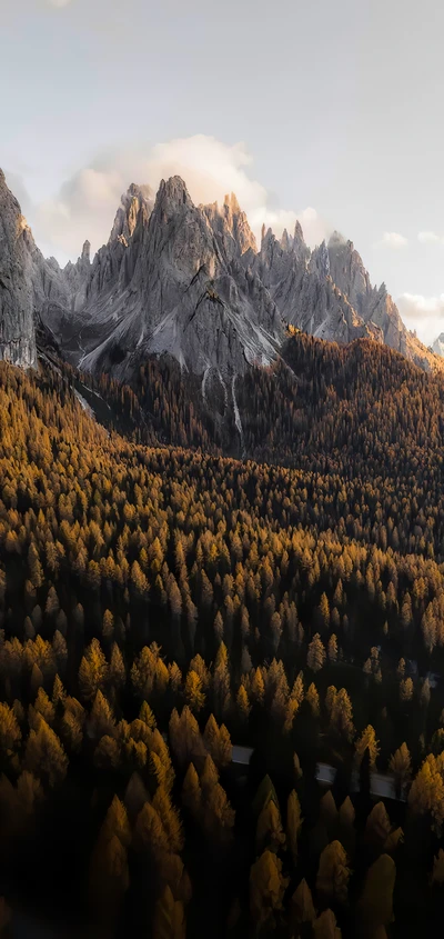 Montagnes majestueuses couvertes de neige entourées de forêts de mélèzes dorés sous une douce lumière du soleil