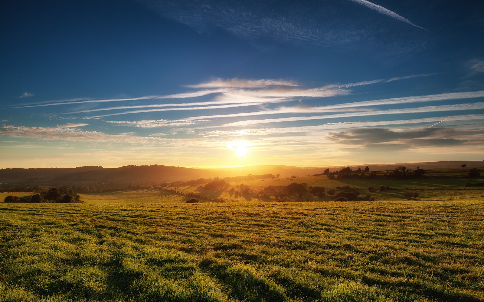 green meadow, landscape, grass field, sunset, south downs national park wallpaper