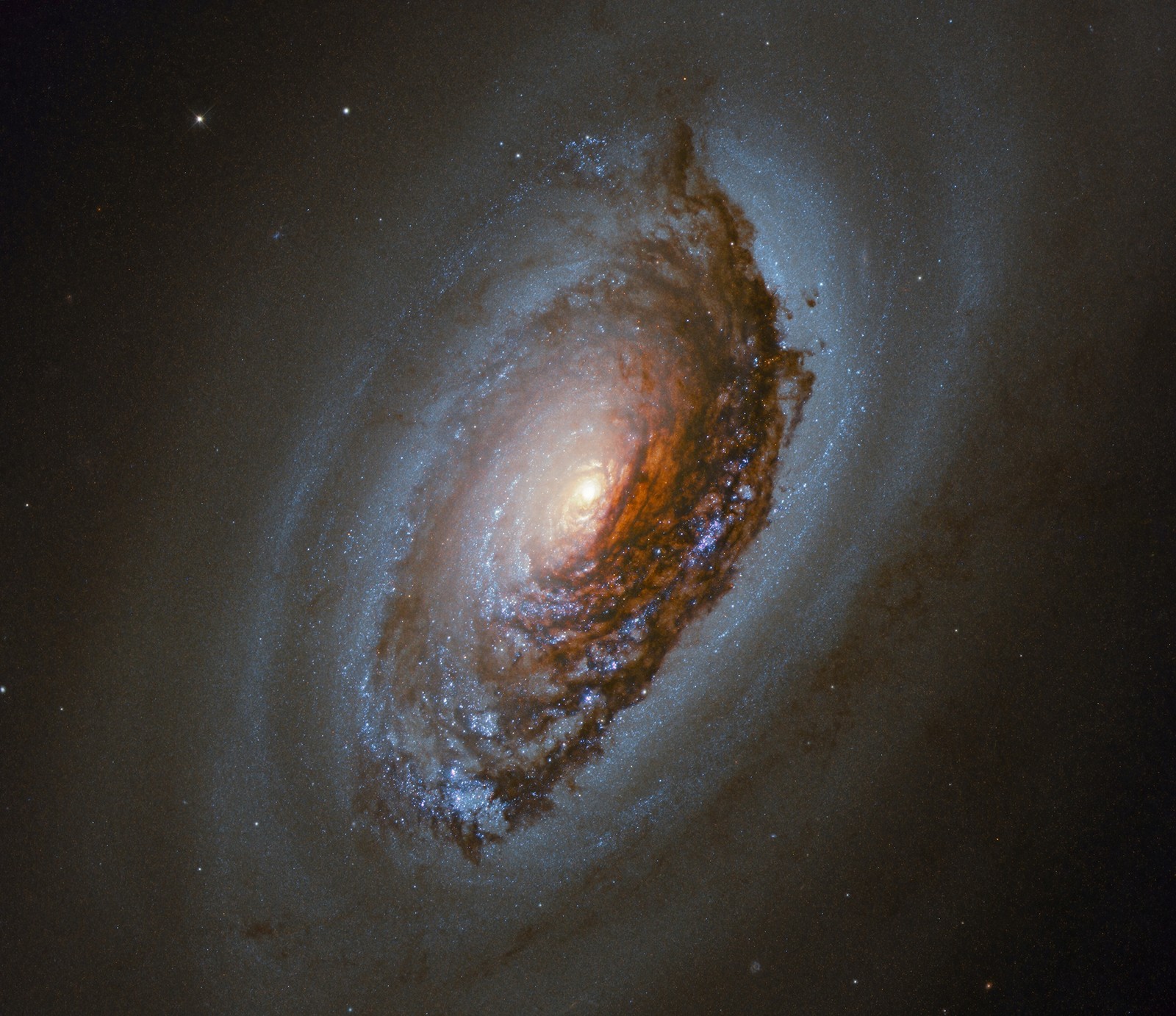 A close up of a spiral galaxy with a bright orange center (galaxy, universe, spiral galaxy, astronomy, milky way)