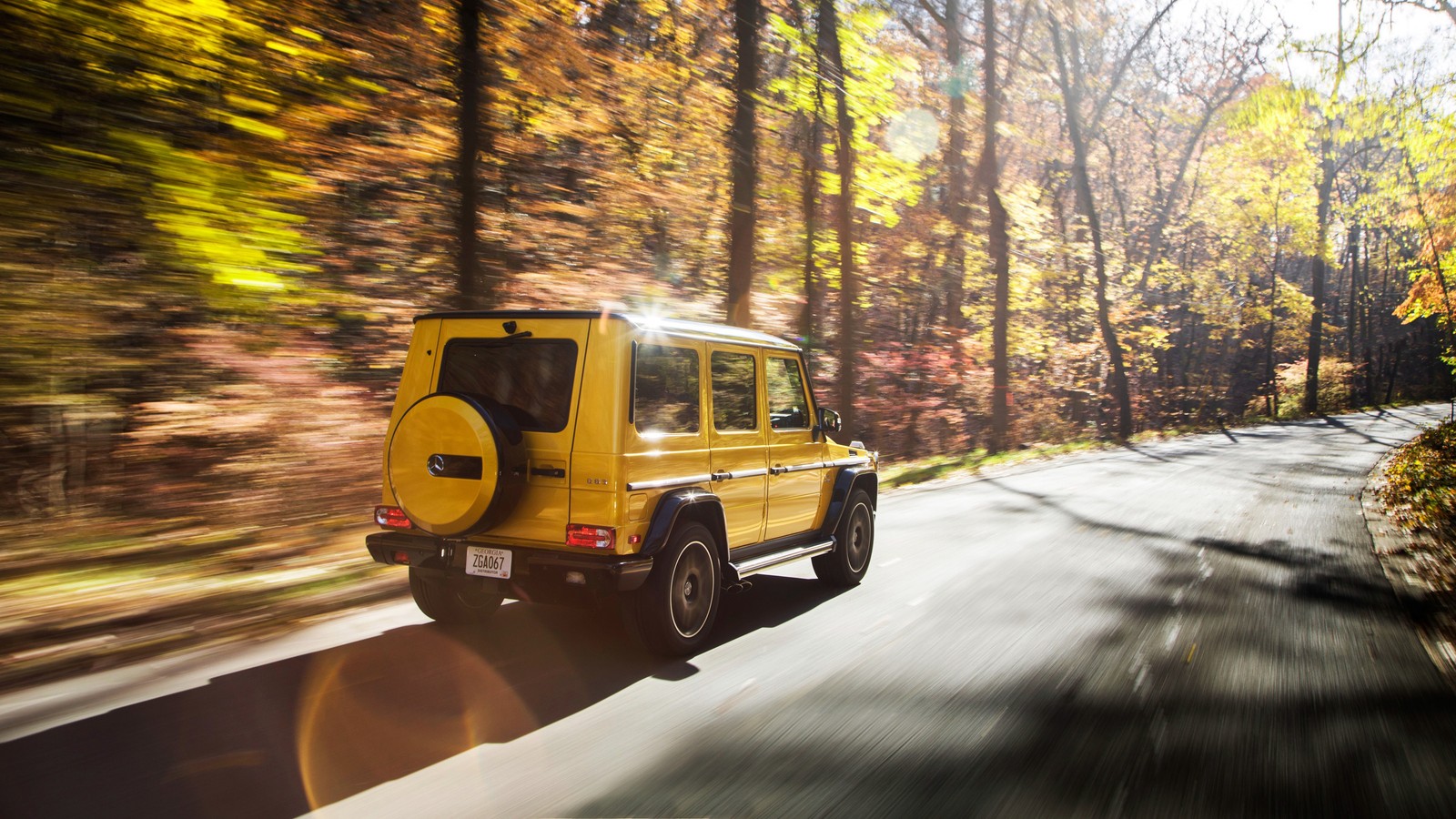 Un jeep jaune flou roulant sur une route dans les bois (voiture, jaune, transport, arbre, route)