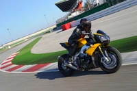 aprilia tuono, motorcycle, superbike racing, aprilia, aprilia rsv4