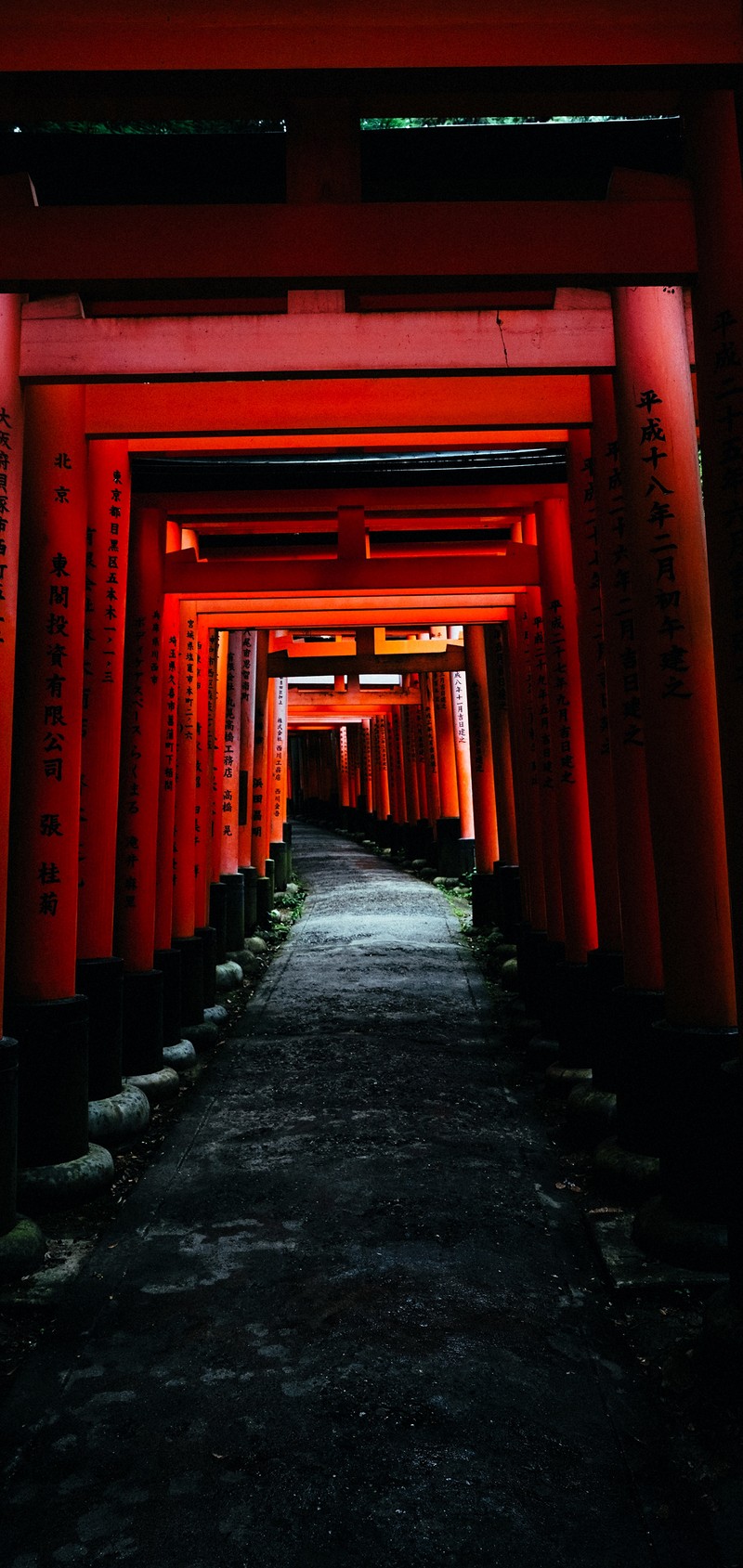 Арабская дорожка, обсаженная красными ториями (тории, torii, архитектура, янтарь, симметрия)