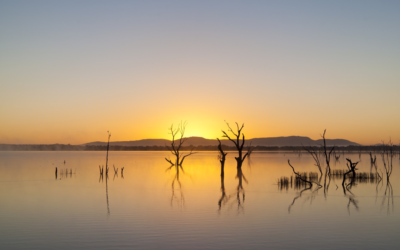 Arafed tree in the water with the sun setting in the background (park, national park, mountain, landscape, water)