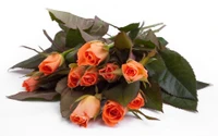 Eleganter Strauß aus orangefarbenen Rosen mit üppigem grünem Laub