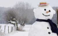 Fröhlicher Schneemann in einem Winterwunderland