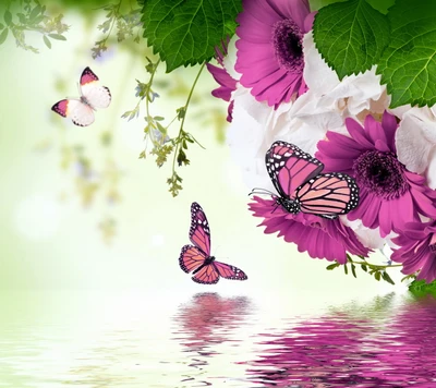 mariposas, flores, gerbera, púrpura, reflexión