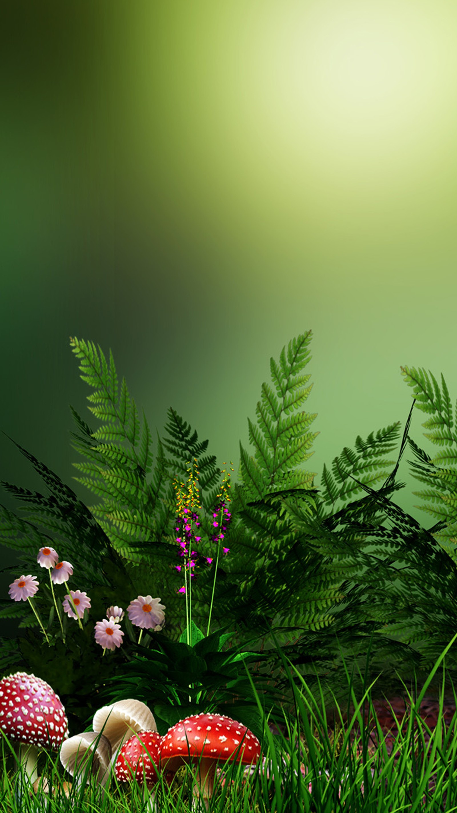 Muitos cogumelos e plantas na grama com um fundo verde (verde, natureza)