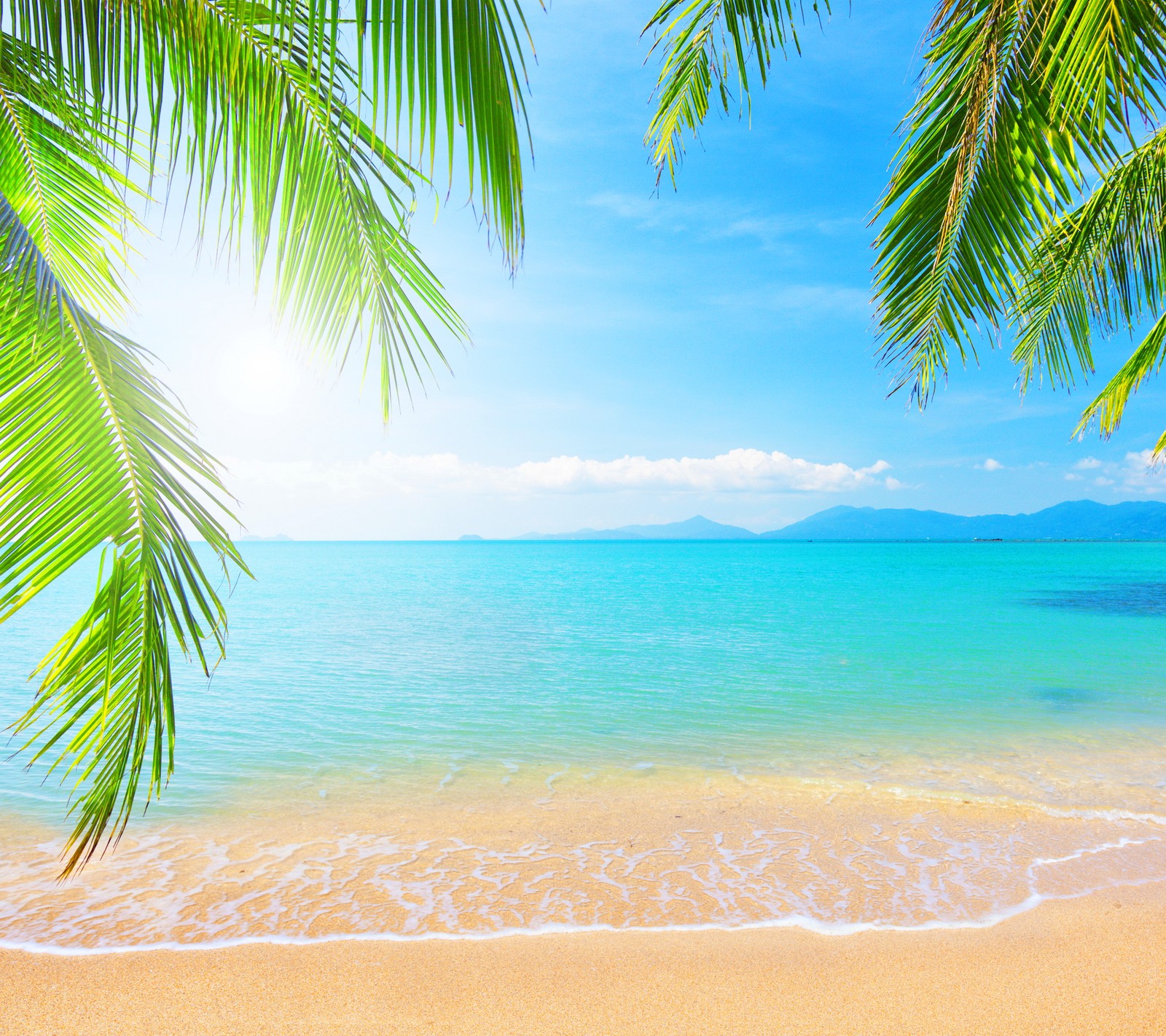 Una vista de una playa con palmeras y el océano (playa, naturaleza, tropical, waters)