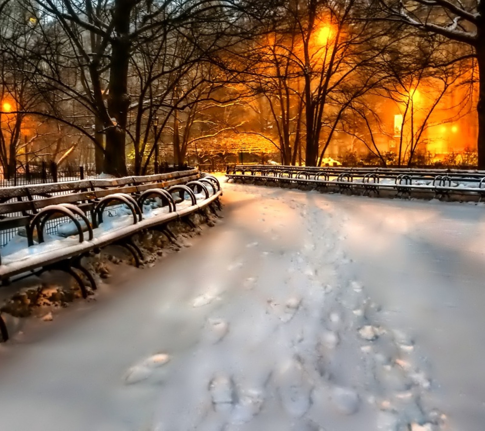 Des bancs enneigés dans un parc avec un lampadaire en arrière-plan (nature, neige, hiver)