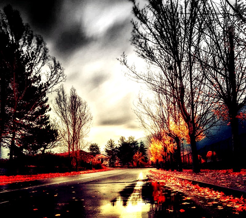 As árvores estão refletidas em uma poça de água na rua (paisagem, inverno)