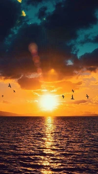 Sunset Serenity: Birds Soaring Over the Ocean