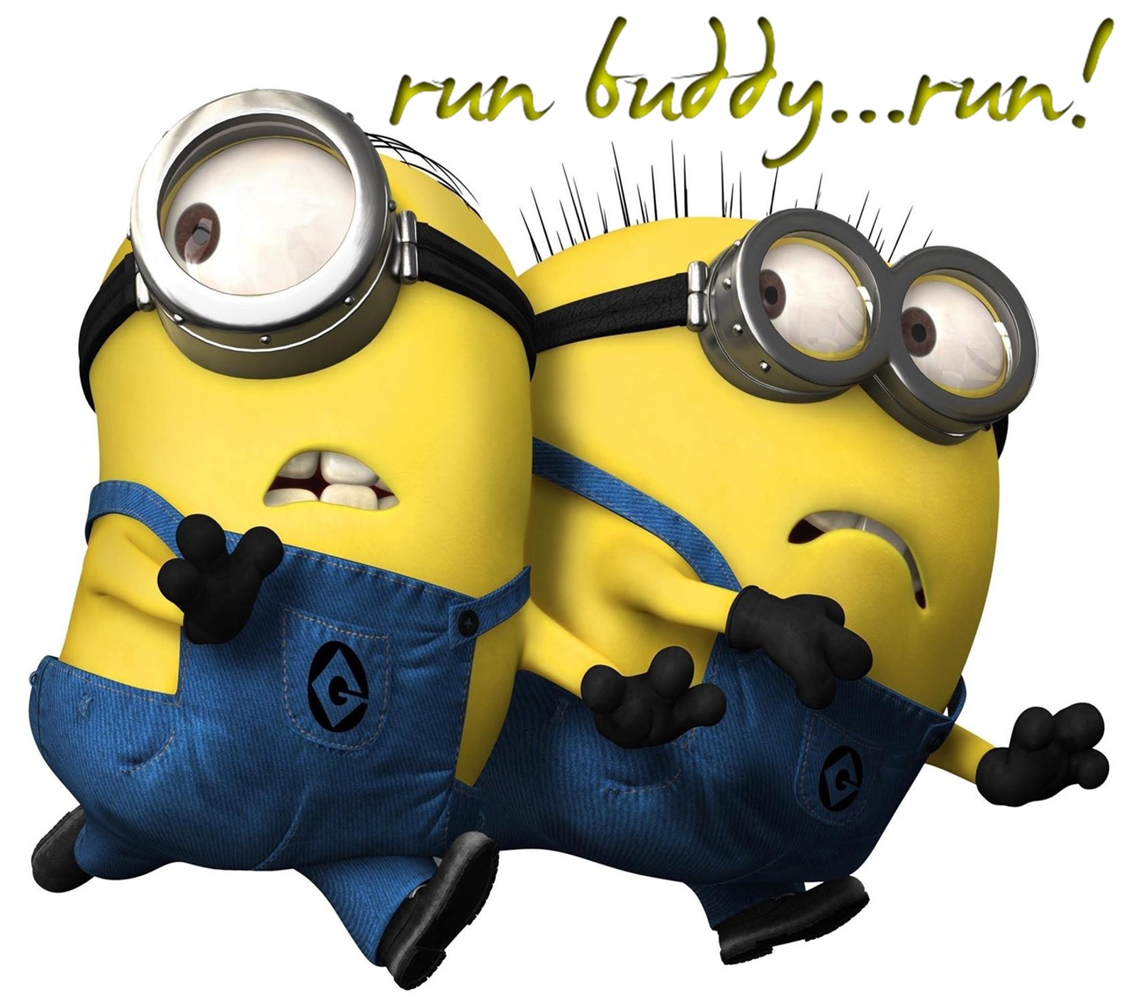 Os minions estão parados um ao lado do outro com uma legenda que diz corra, bebê, corra (minions, run buddy)