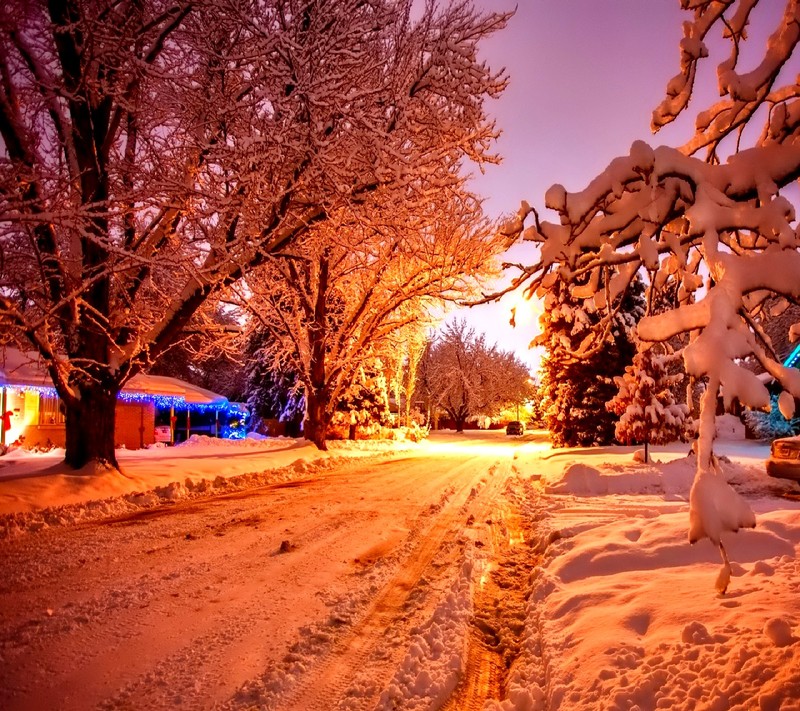 Verschneite bäume säumen eine straße in einer nachbarschaft bei nacht (winter)