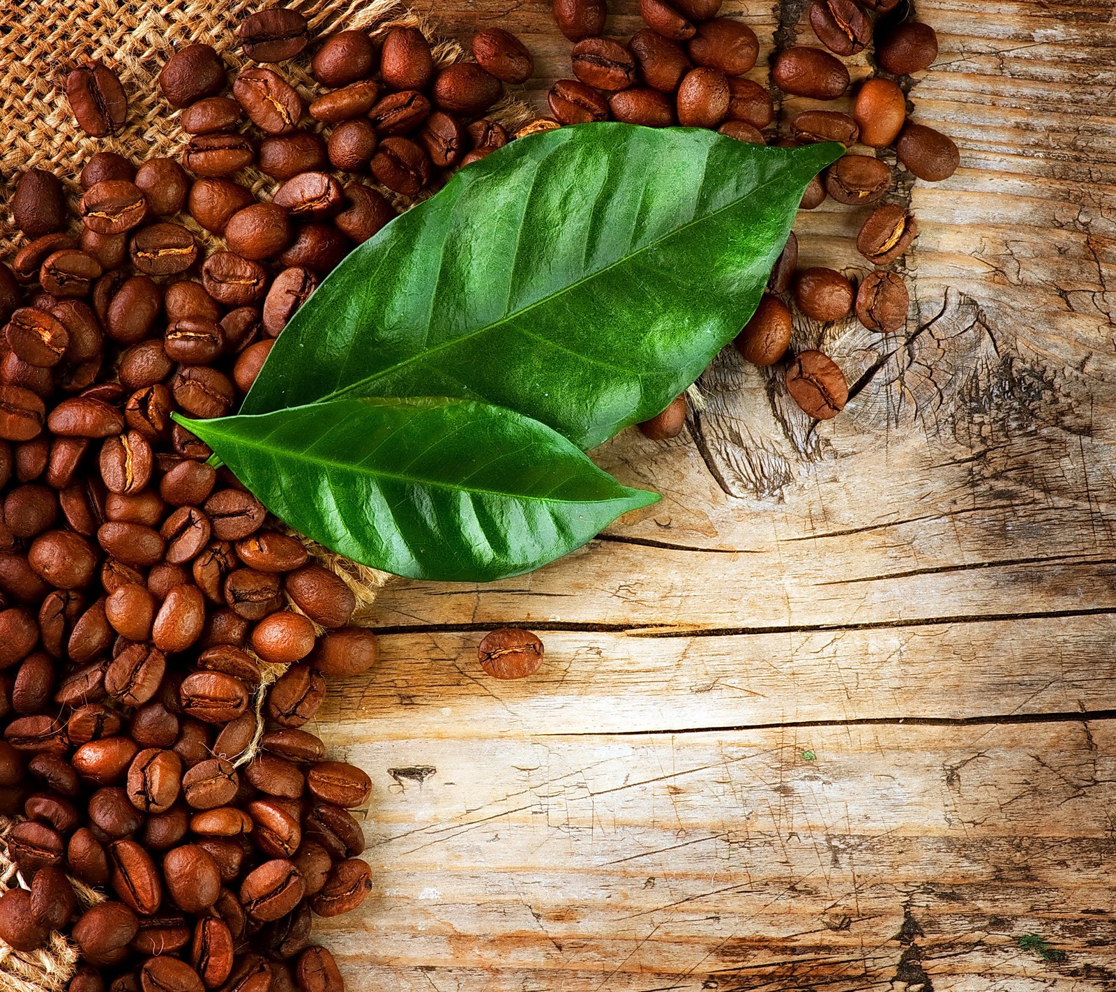 Lade coffeebeans, hintergrundbild herunter