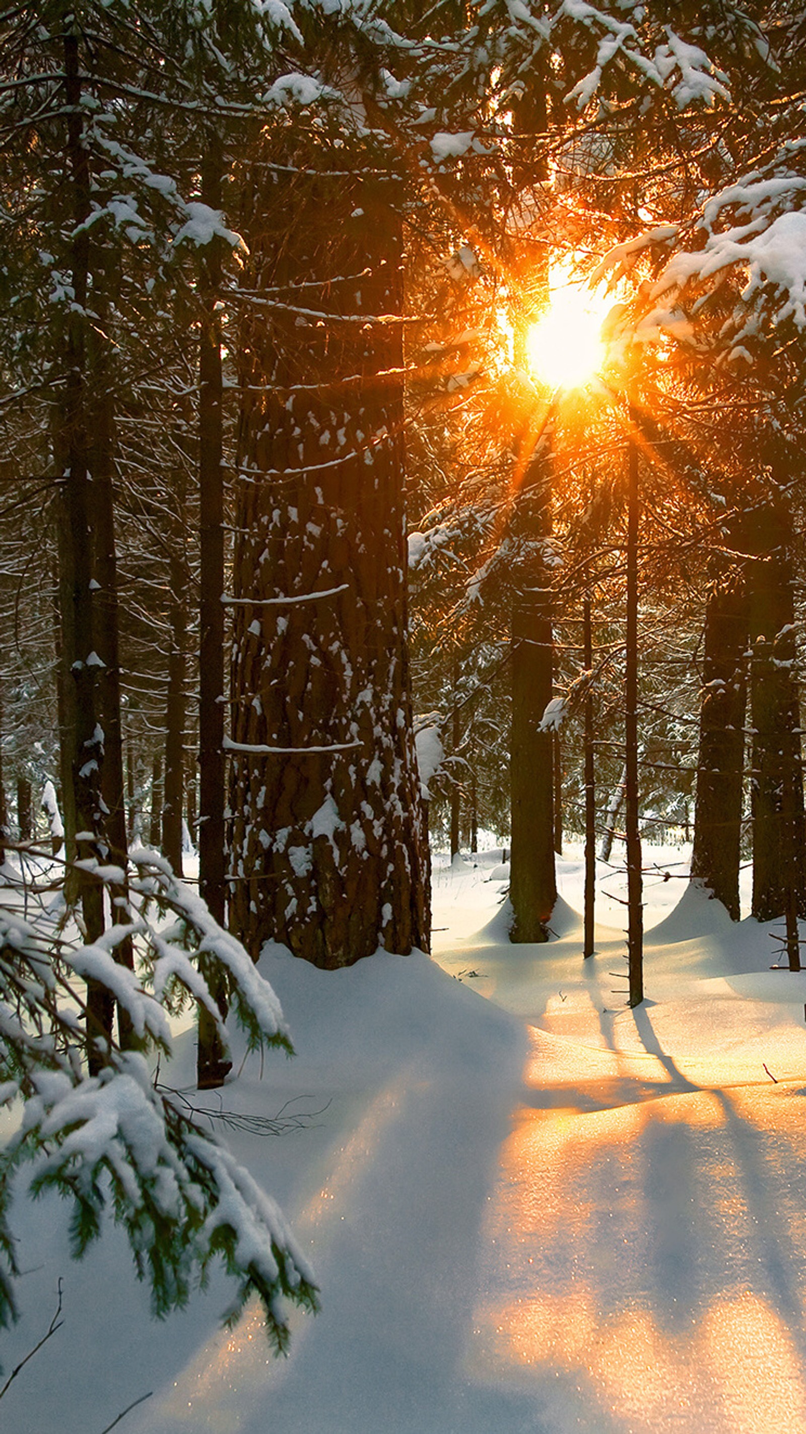 Lade beeindruckend, eis, sonne, sonnenschein Hintergrund herunter