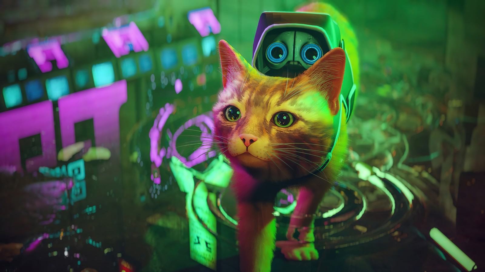 Eine katze mit einem helm auf einem plattenspieler (stray spiel, videospiel)