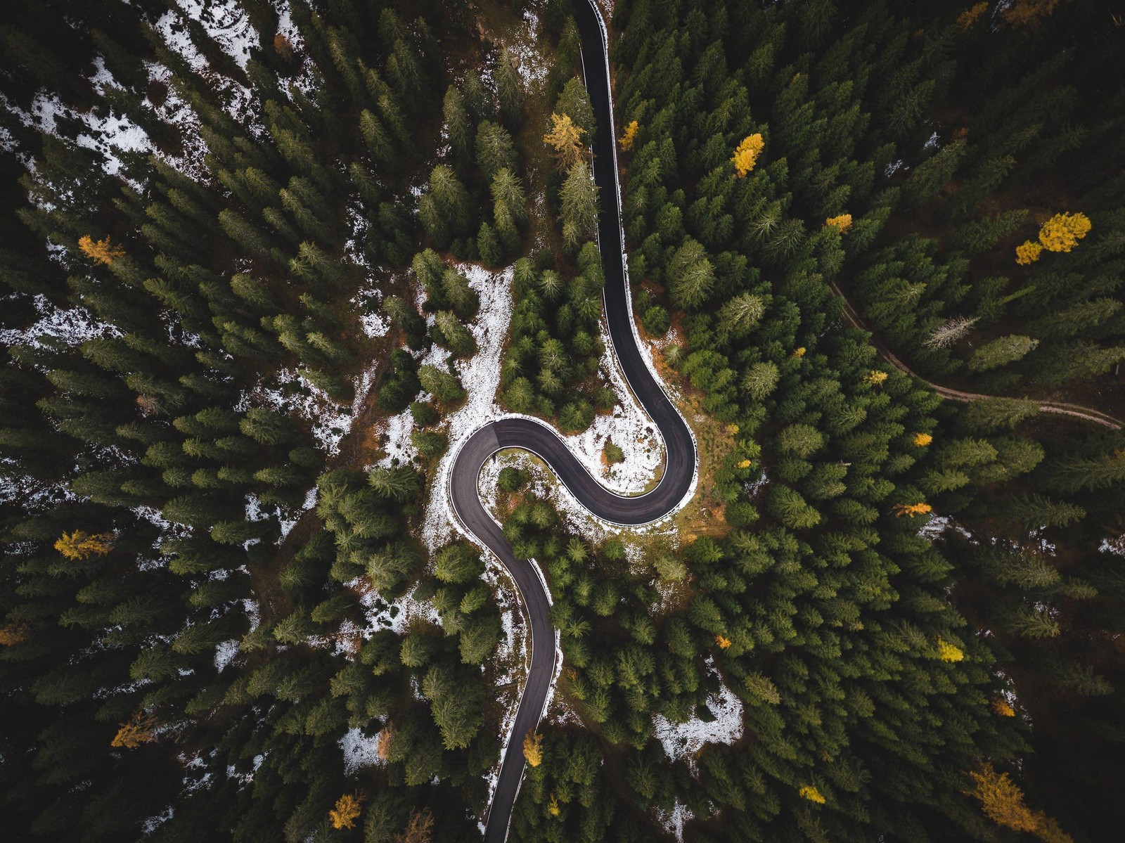 Aerial view of a winding road in the middle of a forest (birds eye view, plant, water, terrestrial plant, tree)