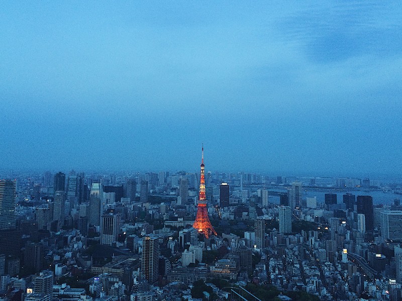 Панорамный вид на город с высоким зданием посередине (токио, tokyo, городская территория, городской пейзаж, город)