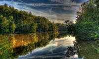 Reflejo sereno del río en medio de la exuberante naturaleza salvaje