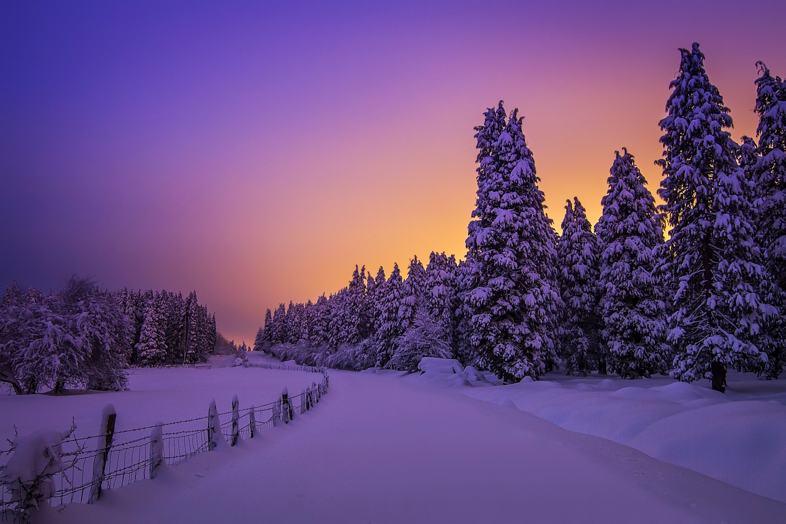 Luftaufnahme eines verschneiten feldes mit bäumen und einem zaun (landschaft, lila himmel, schneebedeckt, abendhimmel, sonnenuntergang)