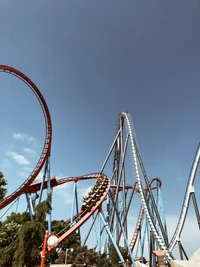 Thrilling Roller Coaster Adventure Against a Clear Blue Sky