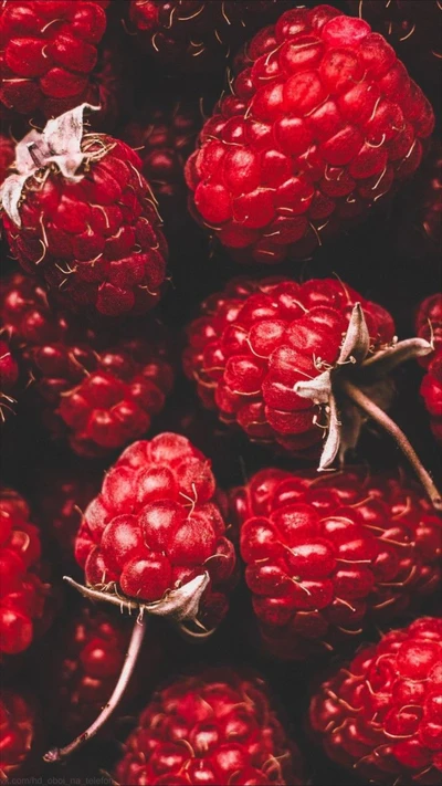 Fresh Red Raspberries: A Natural Delight