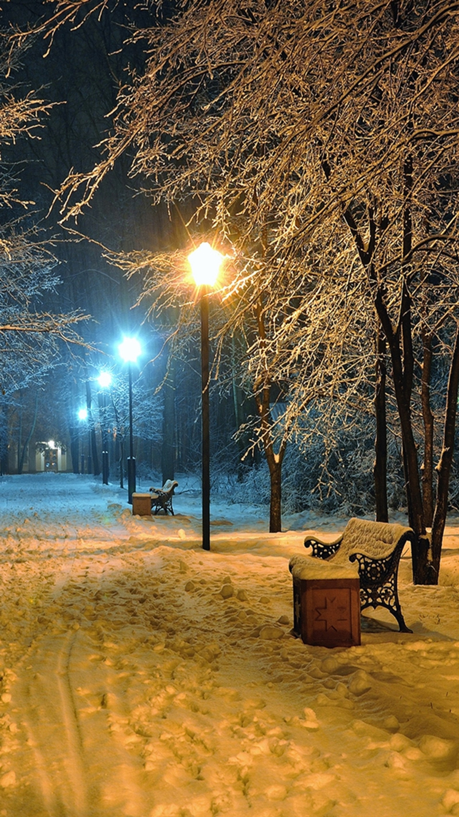 Un parc enneigé avec des bancs et des lampadaires la nuit (froid, génial, hd, nature, nouveau)