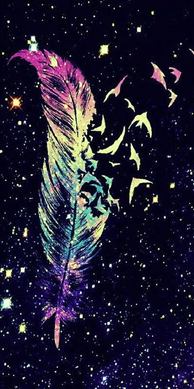 birds, colorful, feather, galaxy, stars