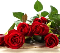 beautiful red, fleurs, amour, roses, valentin