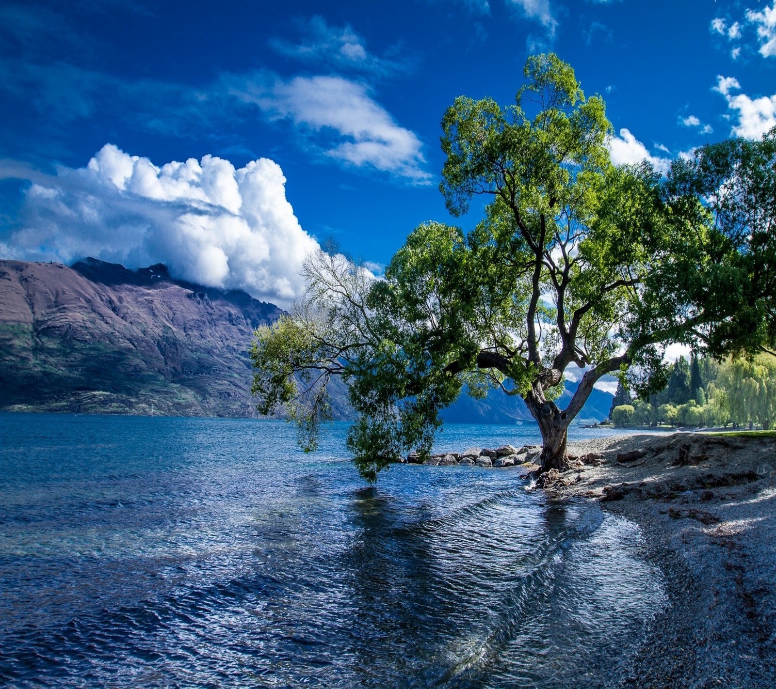 Lade blau, wolke, natur, himmel, baum Hintergrund herunter