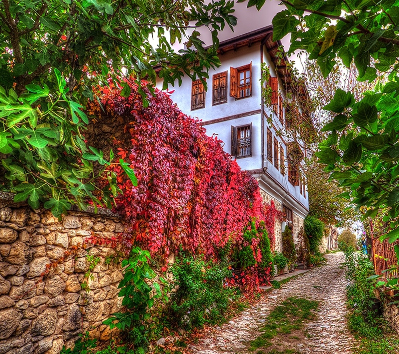 Arafed view of a cobbled path with a building in the background (landscape, romantic)