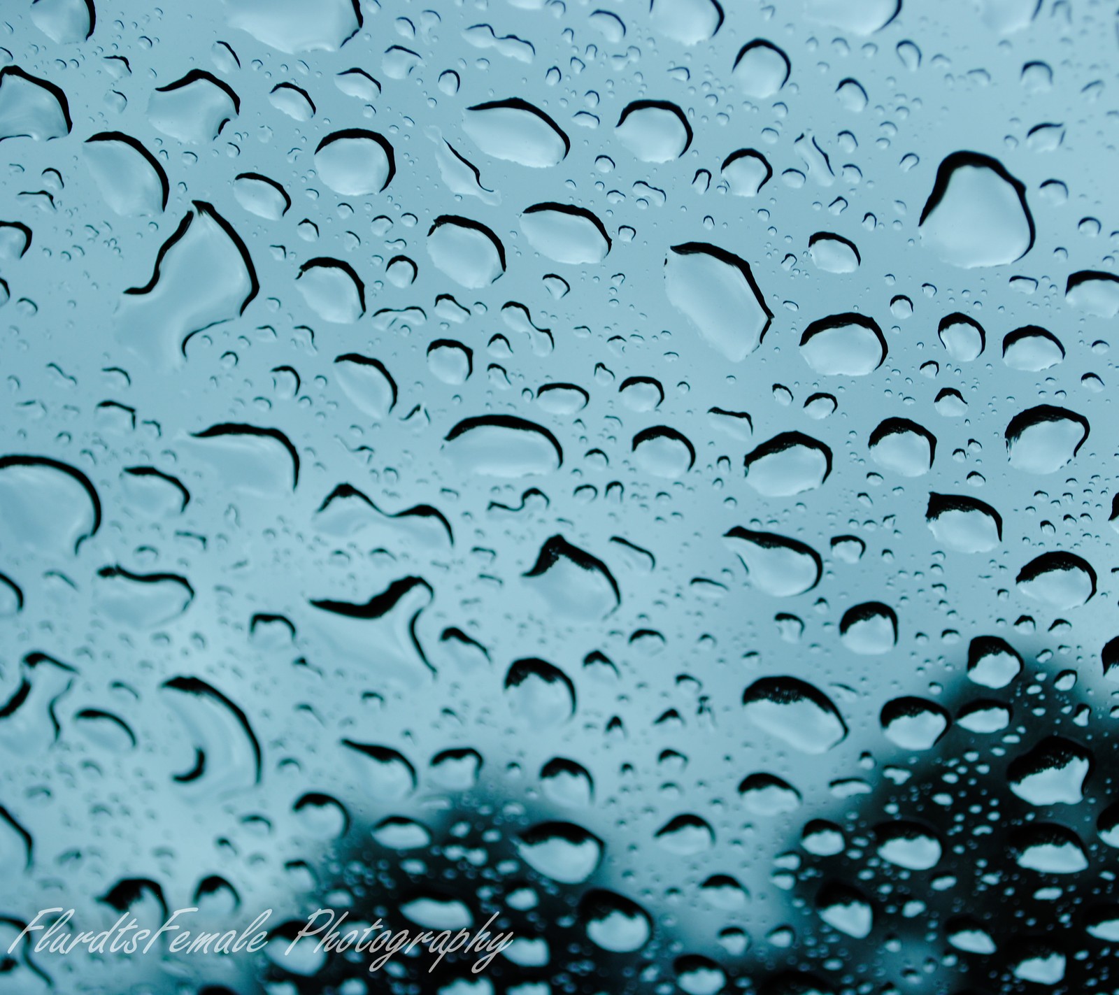 Primer plano de una ventana cubierta de lluvia con gotas de agua (lluvia, gotas de lluvia)