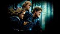 Harry Potter and the Deathly Hallows Part 1: Harry, Hermione, and Ron in a Forest Adventure